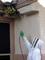 1299522915_174763277_2-Pest-Control-and-Bee-Removal-Services-Peoria - 