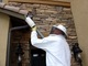bee_removal - 