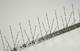 bird-spikes-pest-cemetery - 